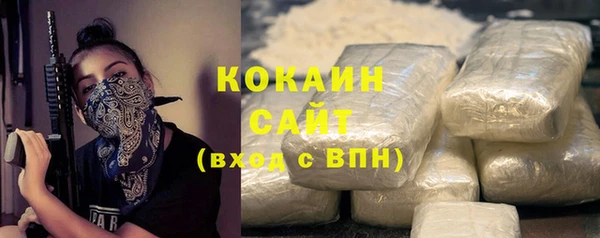 мет Протвино
