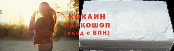 мет Протвино