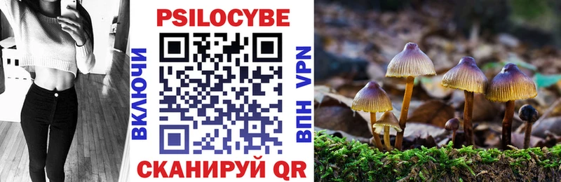 Псилоцибиновые грибы GOLDEN TEACHER  МЕГА как войти  Новотроицк 